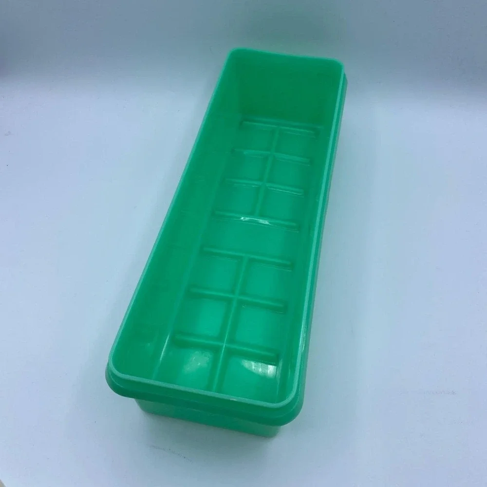 Tupperware vintage celery